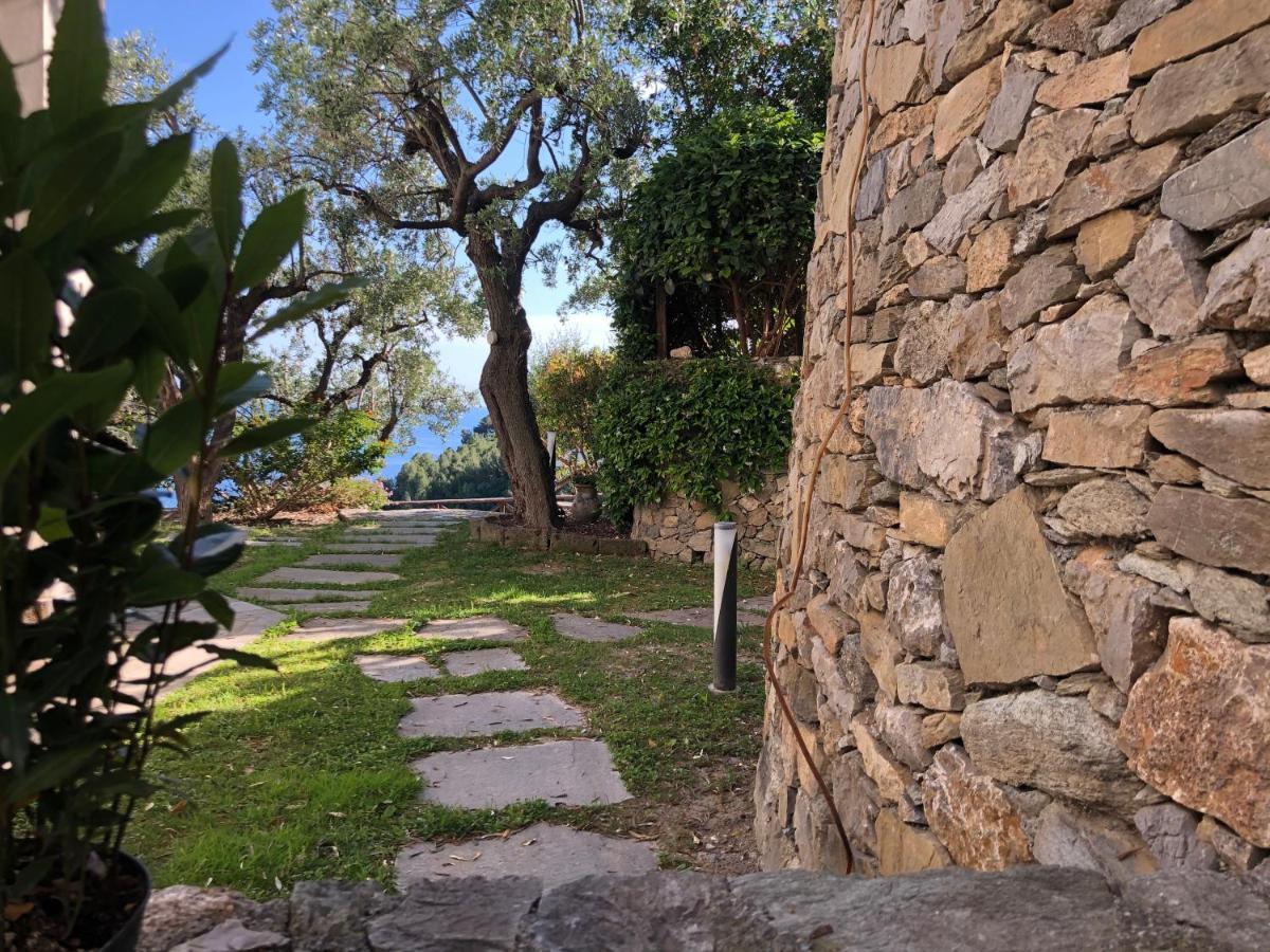 Villa Degli Ulivi B&B Finale Ligure Eksteriør billede